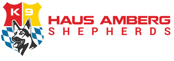 German Shepherd Breeder Puppies For Sale : Haus Amberg Shepherds Logo