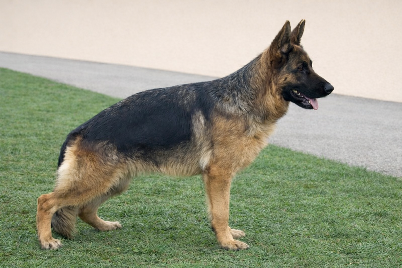 ChatGPT Image Jan 12, 2026, 09_28_31 AM