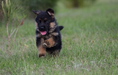 080f60a7-b184-4b2f-b311-2588a1feedd6