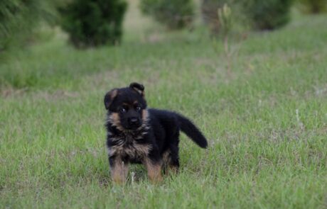 2782e2e0-eecd-42e1-b5fb-15c968bacfcd