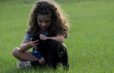 2ddd287f-3668-436c-b5a0-2af33fba6d1a