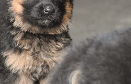 3fce9e56-82dc-4eb2-8489-1331cdf31015