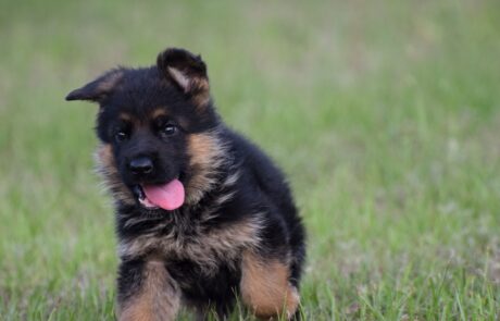 4407ef30-510b-44da-a175-89d63879525d