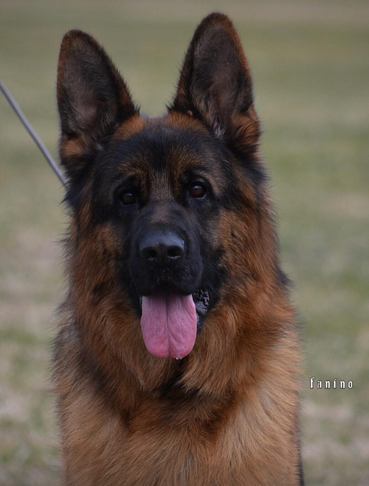 690E4A22-2E86-4ACB-9DC4-C46A16967174