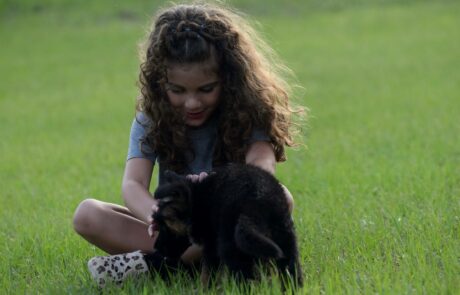 77c057c3-ae86-4bfc-8af1-be13e9e7d146