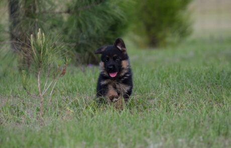 7ba8d6ea-a67c-41b0-8ade-d4cfe8c044fb