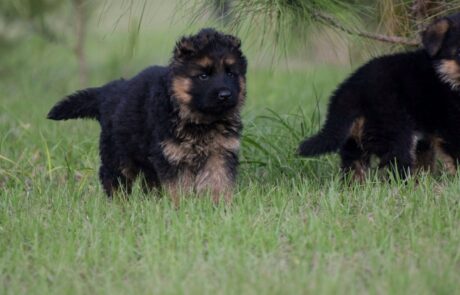 7dba1a24-20fa-44de-b02d-92858b1d8c5a