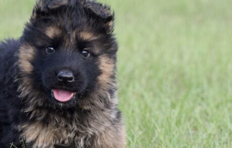 81d0da36-7bba-46d9-996f-3471d7aaf228