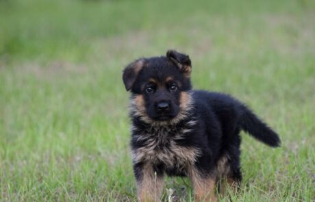 93ca55ad-ffe0-4a5b-9cb7-c0ccad7fa221