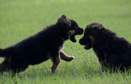 997296bc-a02d-4c43-9ac8-06151e052fee