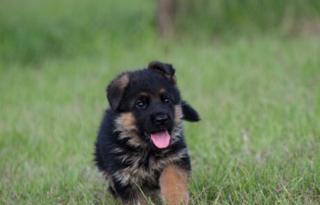 ba07db7a-bcd4-4c23-9e56-089686e13493