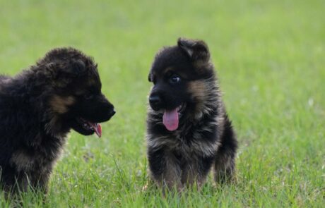 bc1046bc-7858-4755-b462-47ddd21c6202