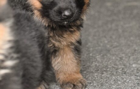 c02fb36a-8422-402f-9c7a-d7d9ce9f17a4