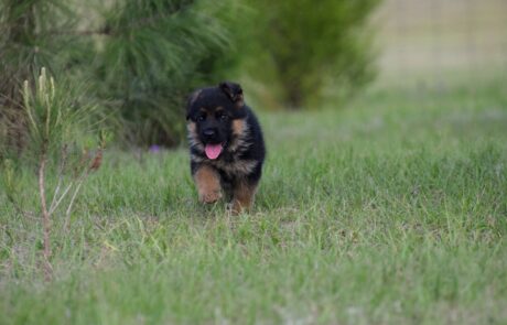 cee62f1a-54e0-402c-8f74-c46a5223ee1e