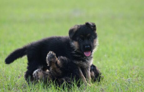 d260cea0-5e1f-4113-99d0-62878eea2b22