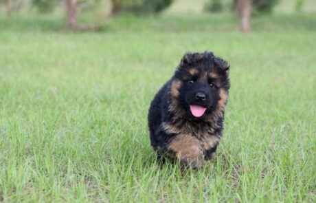 e5810ce5-75bd-4105-b0f4-457771a45716