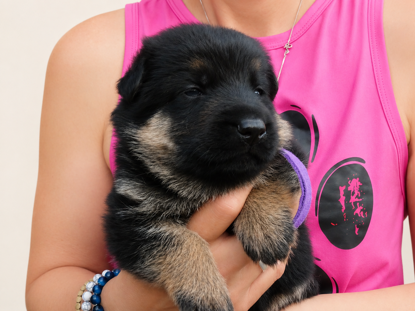 page puppy (4)
