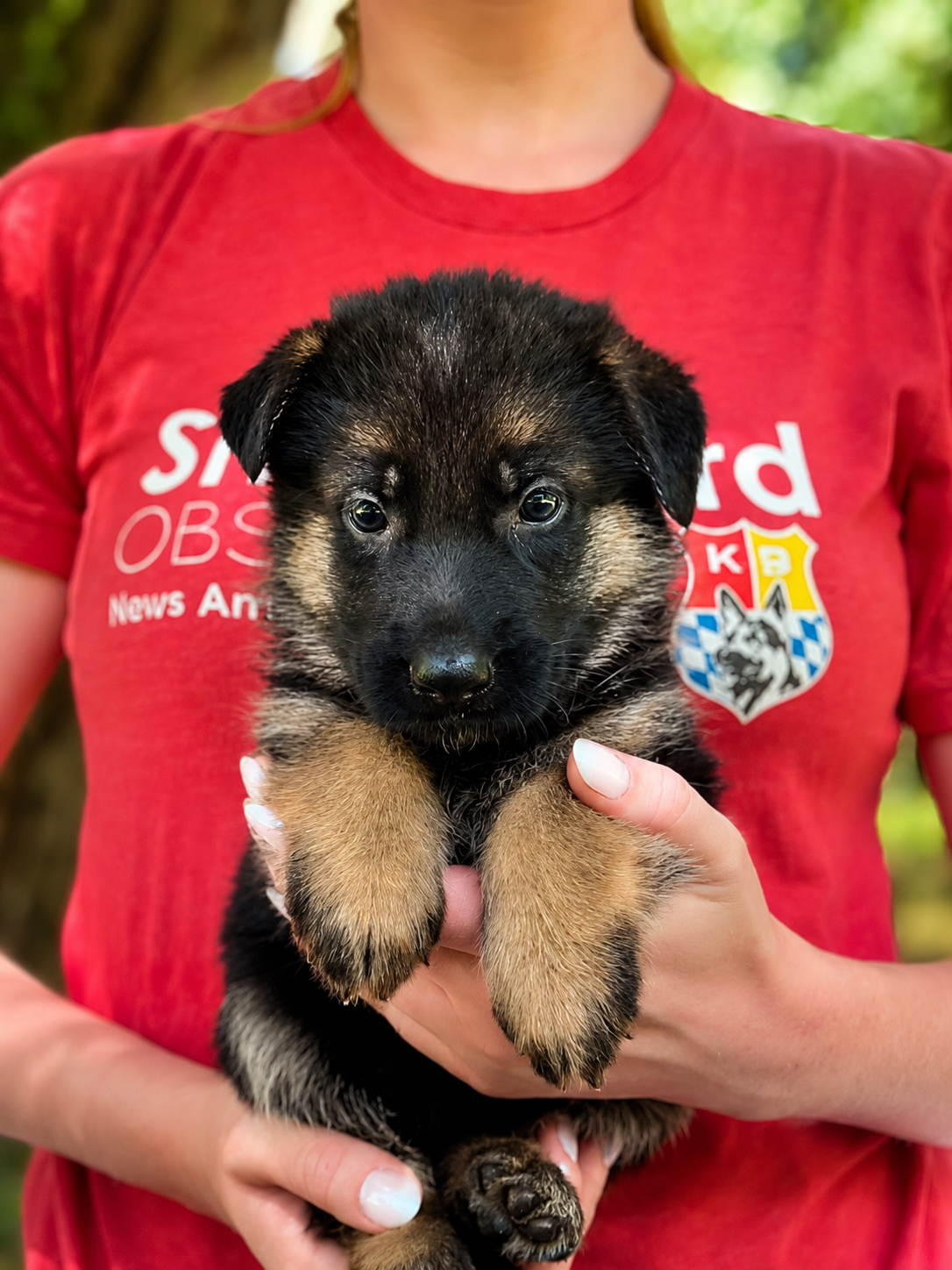 5 weeks-Peach-TItus (1)