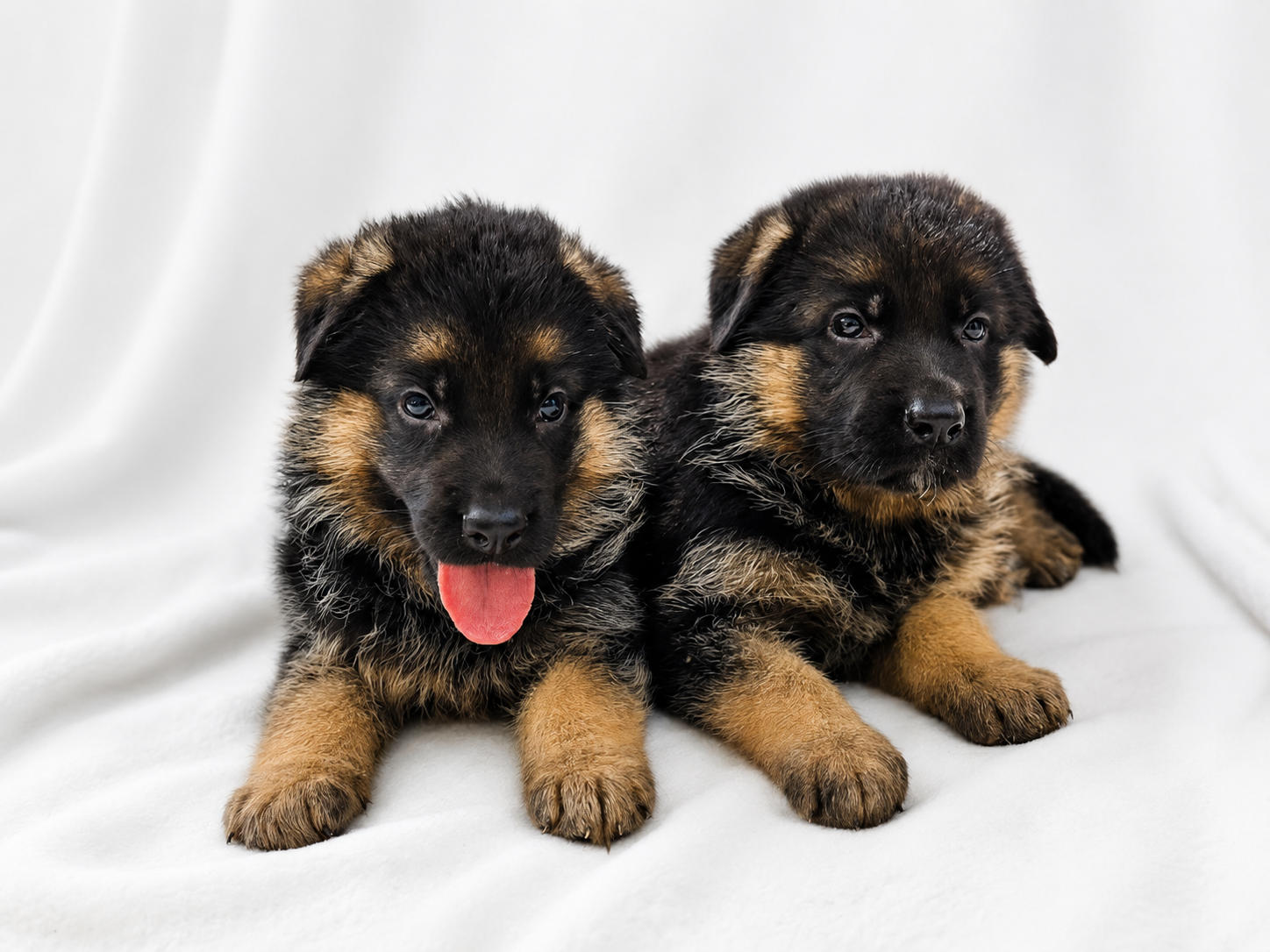 5 weeks-Peach-TItus (10)