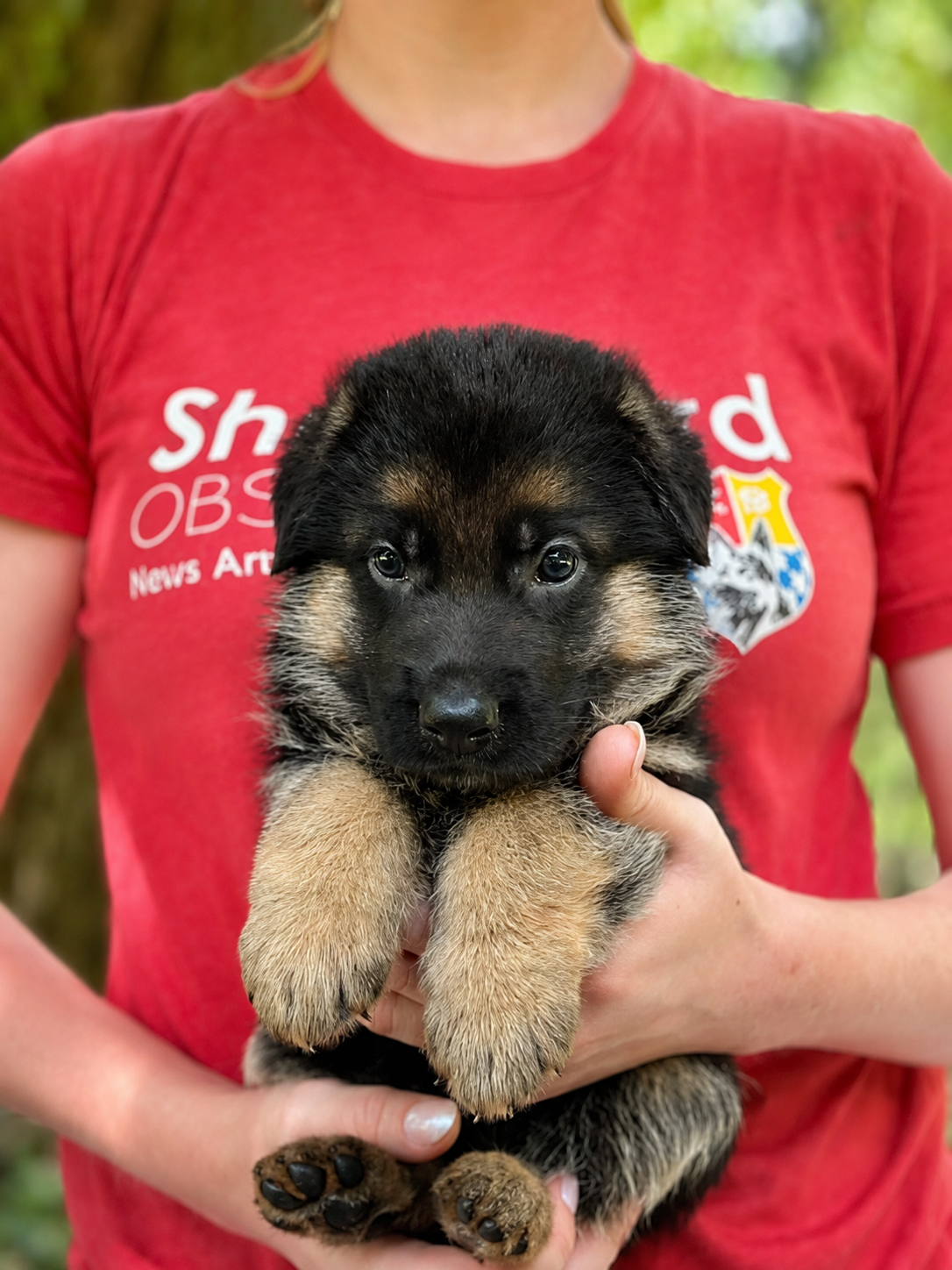5 weeks-Peach-TItus (11)