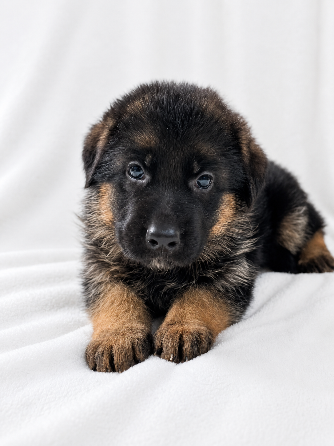 5 weeks-Peach-TItus (3)