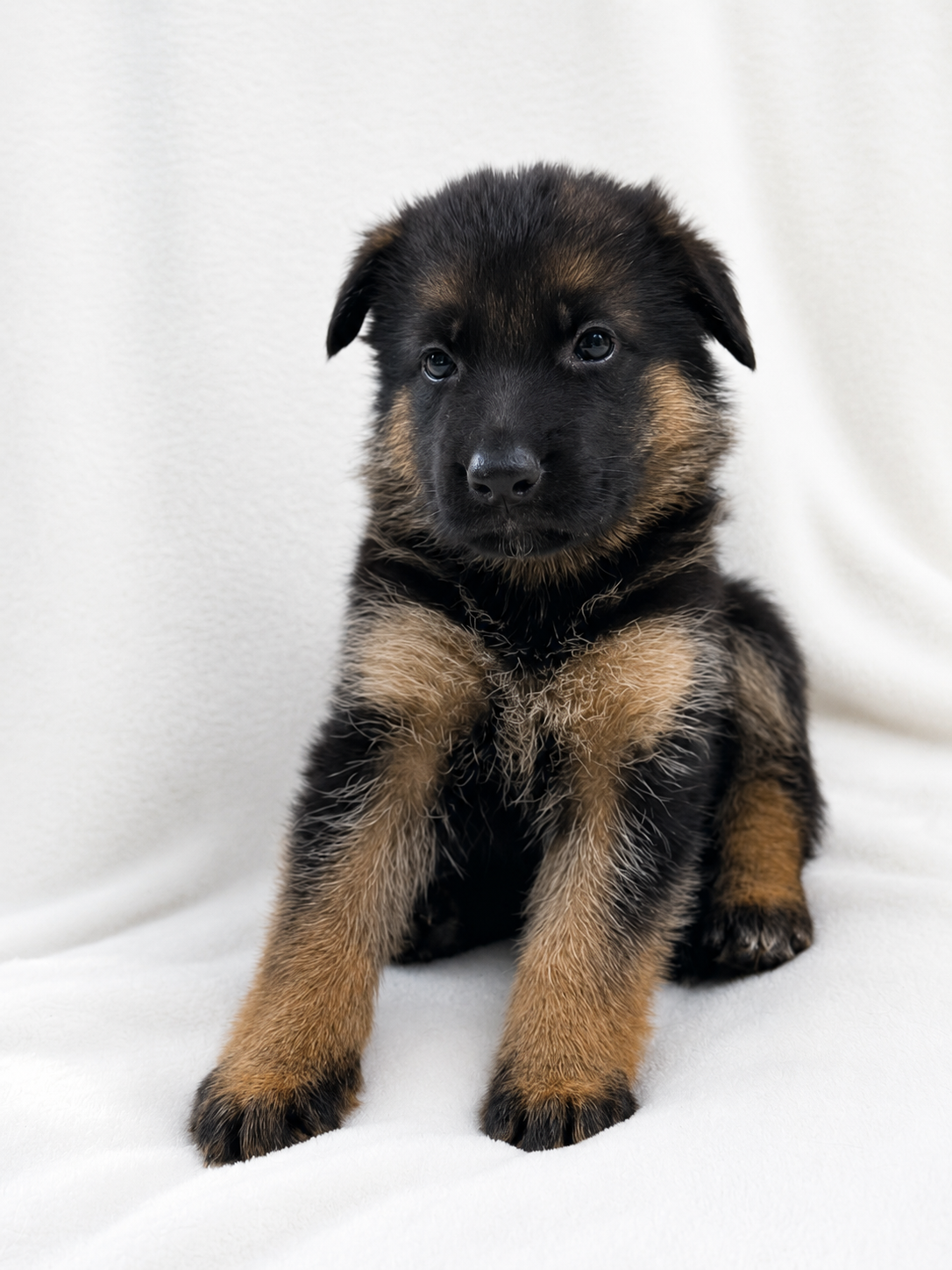 5 weeks-Peach-TItus (4)