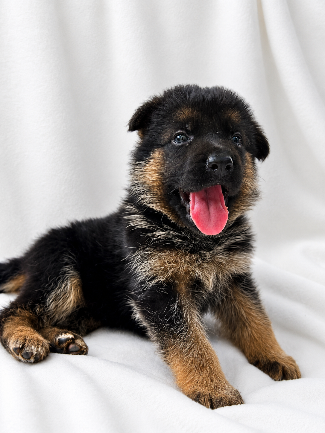 5 weeks-Peach-TItus (8)